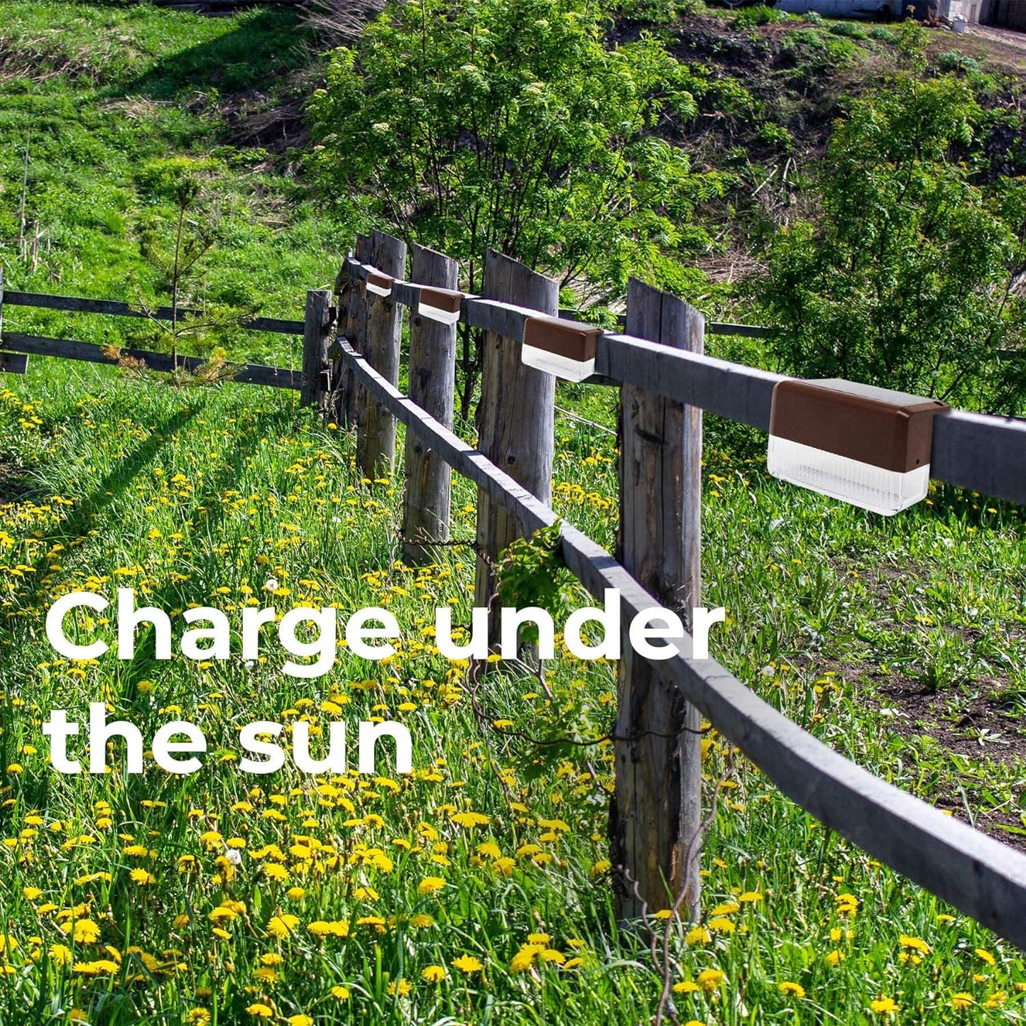 Solar Stair Lights : Auto Light Up In The Dark